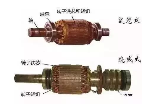 1616049632457256.jpg 1616049632457256.jpg