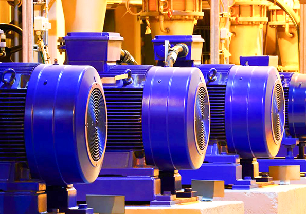 1628141812890010.png 1628141812890010.png