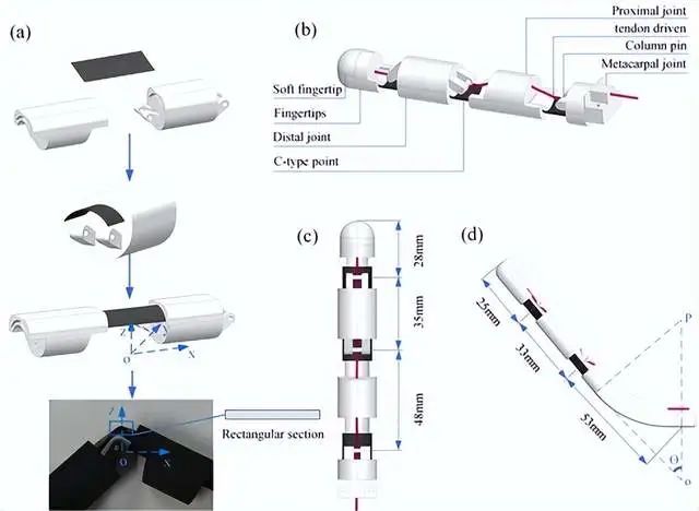 人形機器人電機有刷空心杯電機和無刷空心杯電機的區別—AIP艾普 人形機器人電機有刷空心杯電機和無刷空心杯電機的區別—AIP艾普
